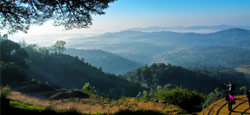 Misty Chikmagalur - Coorg Tour Package